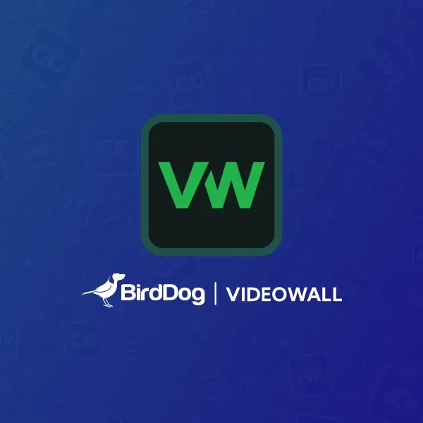 BirdDog VideoWall programvare videovegg 2x2 3x3